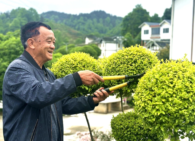 村美人和宜居宜业(图4)