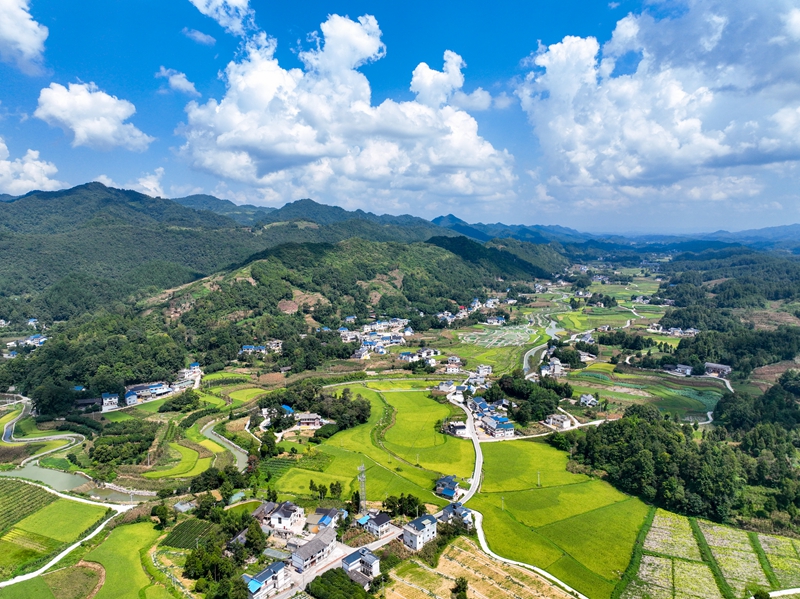 村美人和宜居宜业(图5)