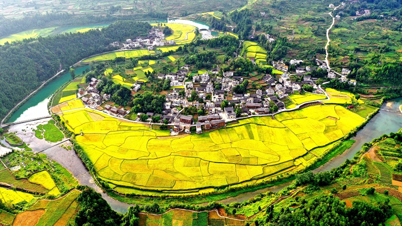 村美人和宜居宜业(图6)