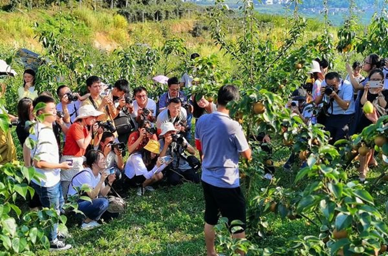 村美人和宜居宜业(图8)