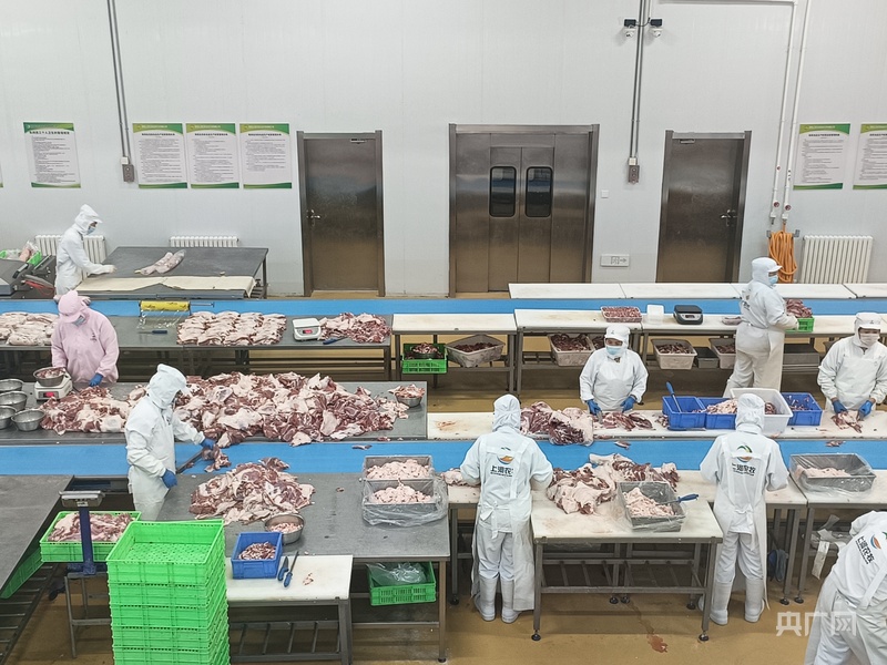 杏彩体育产业振兴·园区先行丨榆林市榆阳区科技赋能绘就“羊经济”新图景(图3)