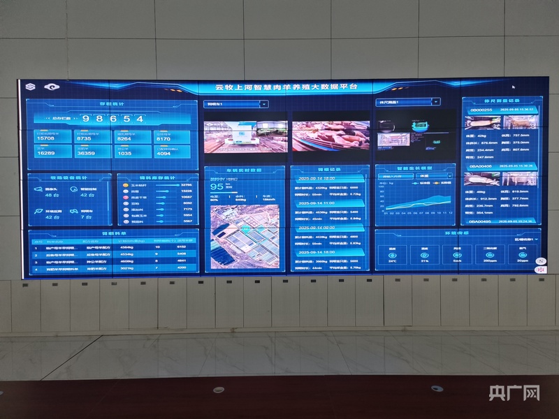 杏彩体育产业振兴·园区先行丨榆林市榆阳区科技赋能绘就“羊经济”新图景(图2)