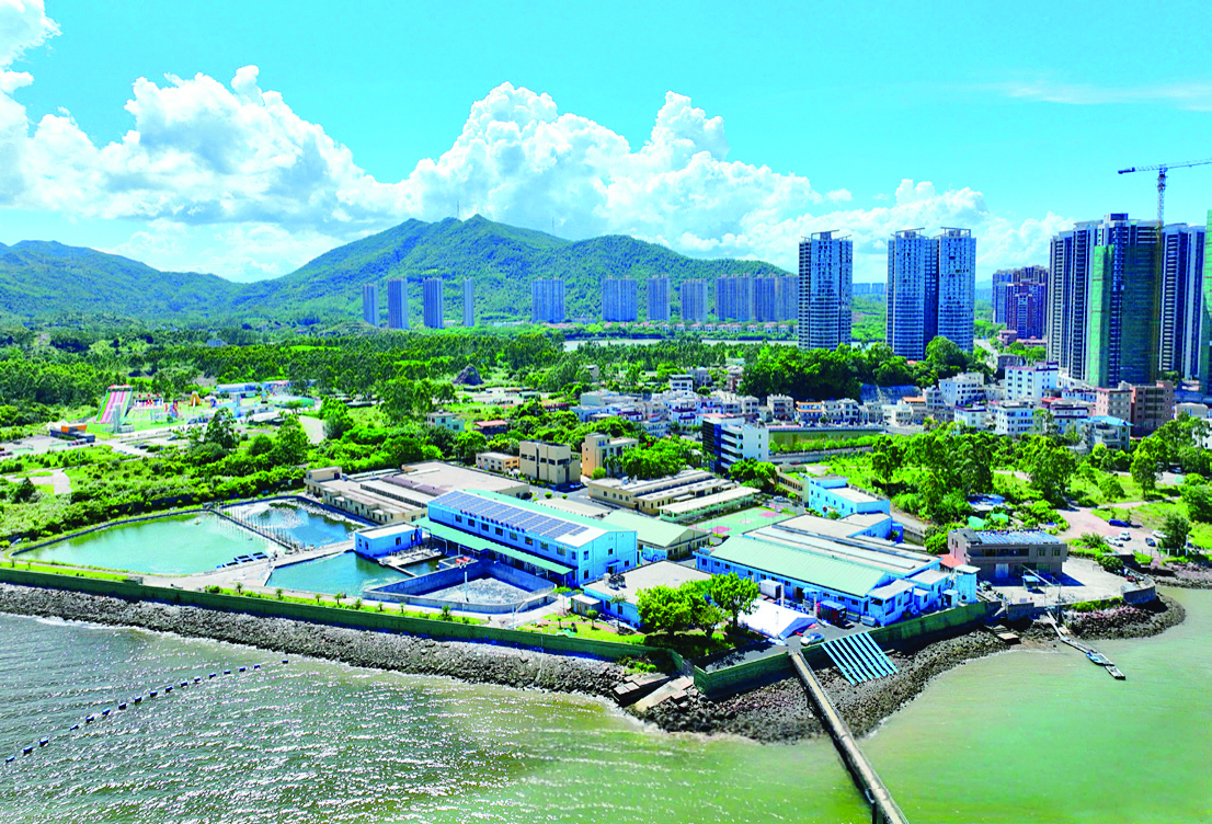 杏彩体育攻种业芯片筑蓝色粮仓！惠州加速打造现代化海洋牧场(图2)