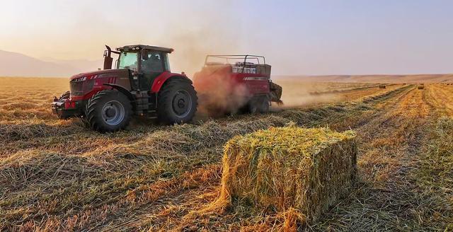 从“冬瘦春死”到“生态共赢”草原畜牧业转型怎样破局?(图1)