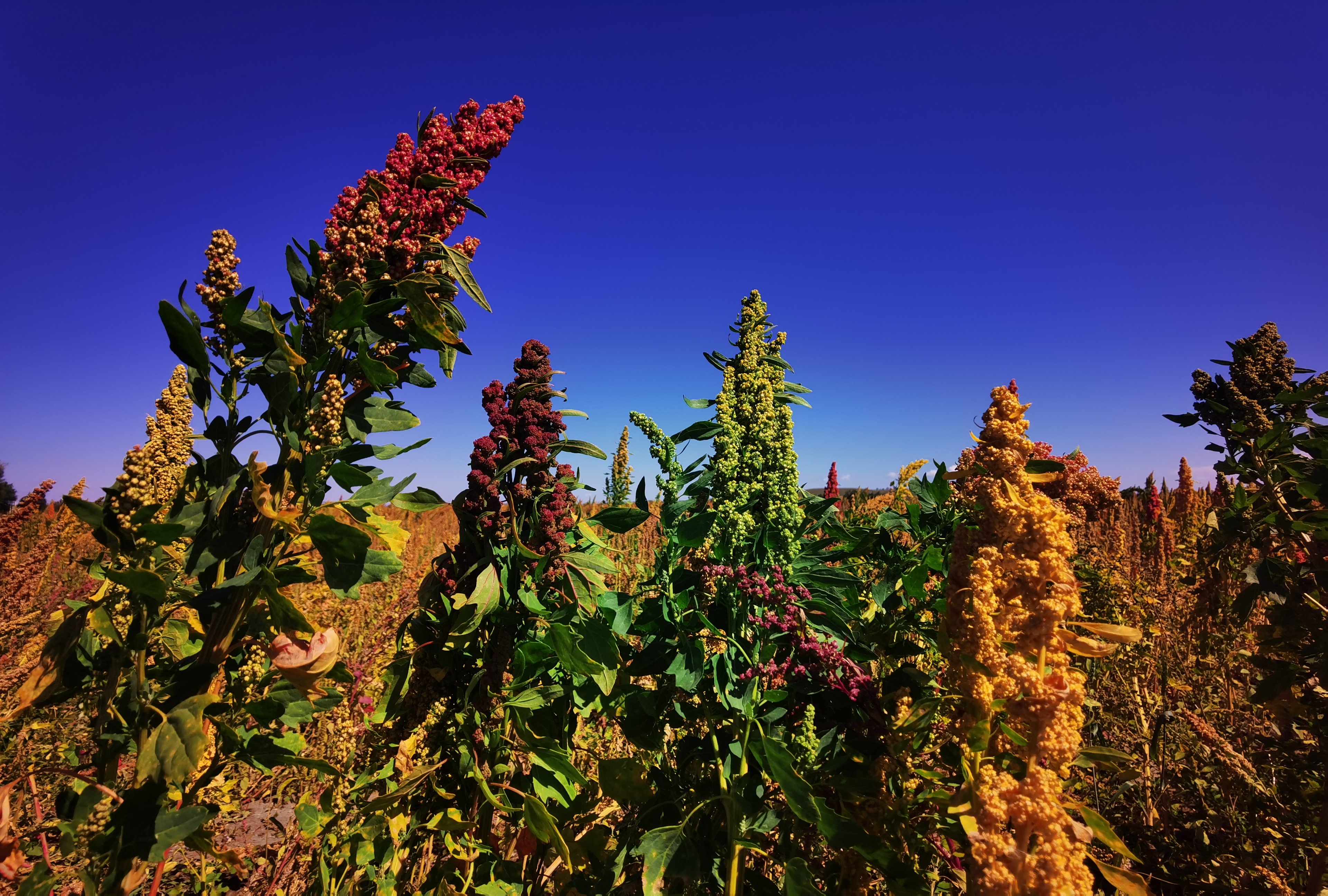 向绿要效益以水定发展张家口产业转型的“绿色账本”(图3)