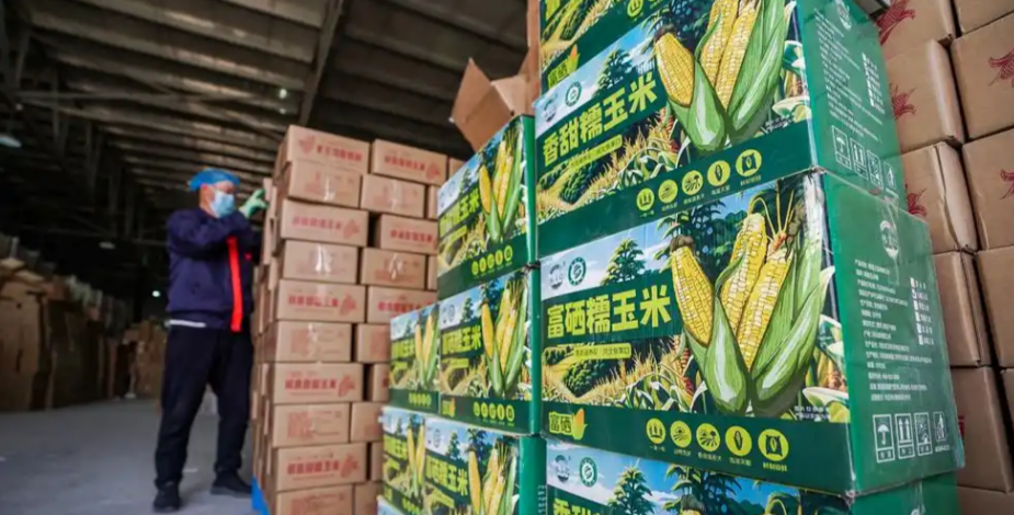 向绿要效益以水定发展张家口产业转型的“绿色账本”(图4)