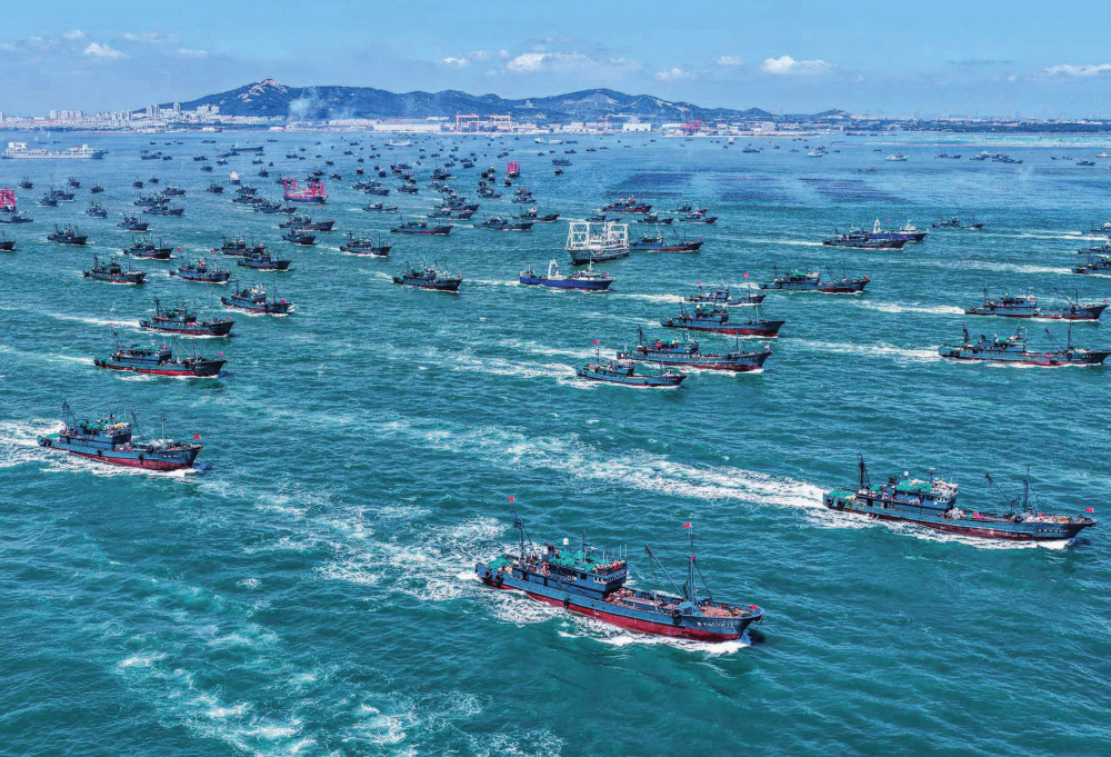 瞭望丨山东荣成：“绿色”海洋奏响新渔歌(图1)