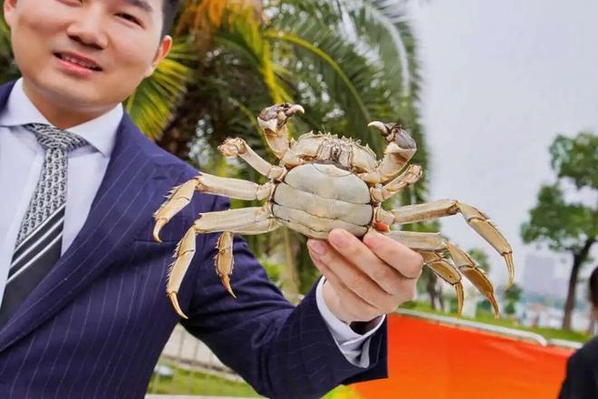 杏彩体育平台抢鲜上市！湖北人超爱这一口(图4)