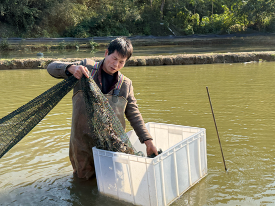 信阳浉河区：蟹塘“爬”出乡村振兴新路子(图1)