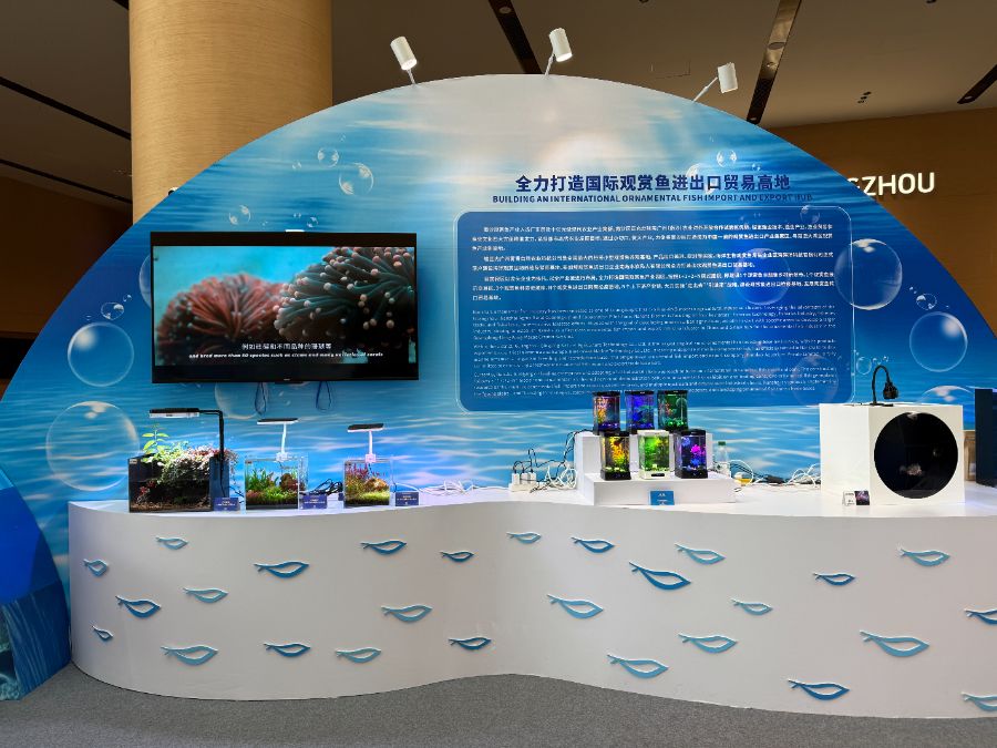 多维出海规则共建南沙构建农业服务贸易“国际协作生态圈”(图1)