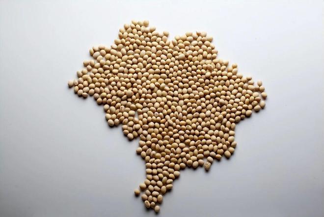 中美贸易战误把这个国家“养肥”了！杏彩体育平台如今它敢对我们坐地起价(图1)