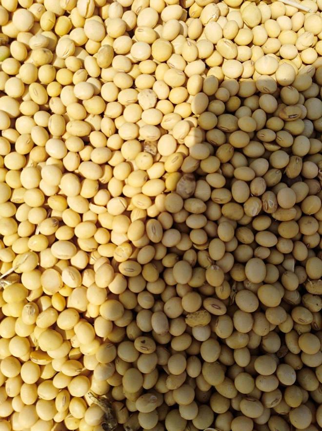 中美贸易战误把这个国家“养肥”了！杏彩体育平台如今它敢对我们坐地起价(图3)