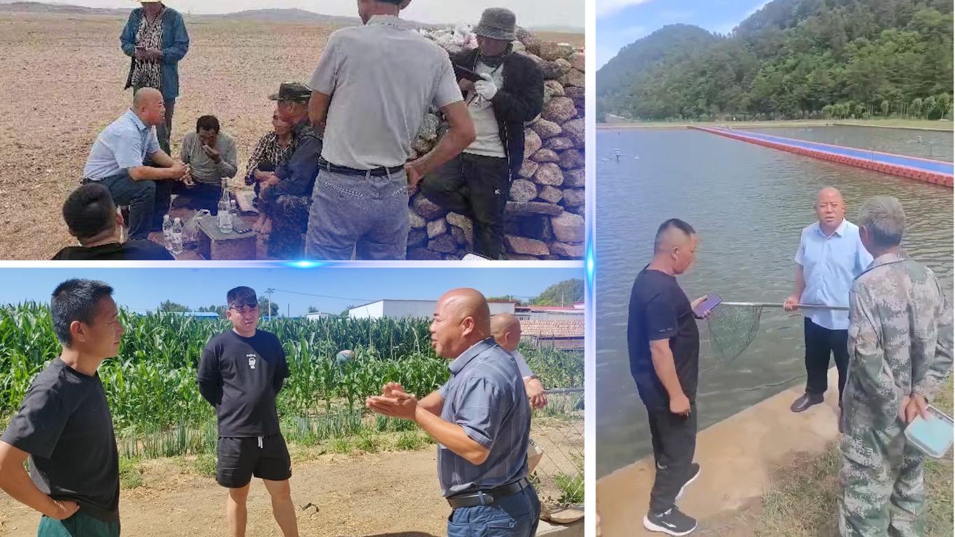 匠心赋能农牧共赢绿色未来(图5)