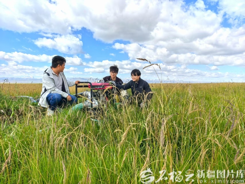 杏彩体育祖国大家庭的温暖丨牧区转型走出双赢路(图2)