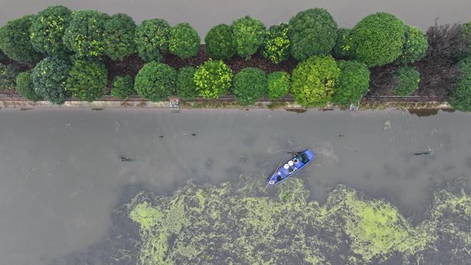 四中全会精神在基层记者手记：在大通湖畔感受现代农业新气象(图1)