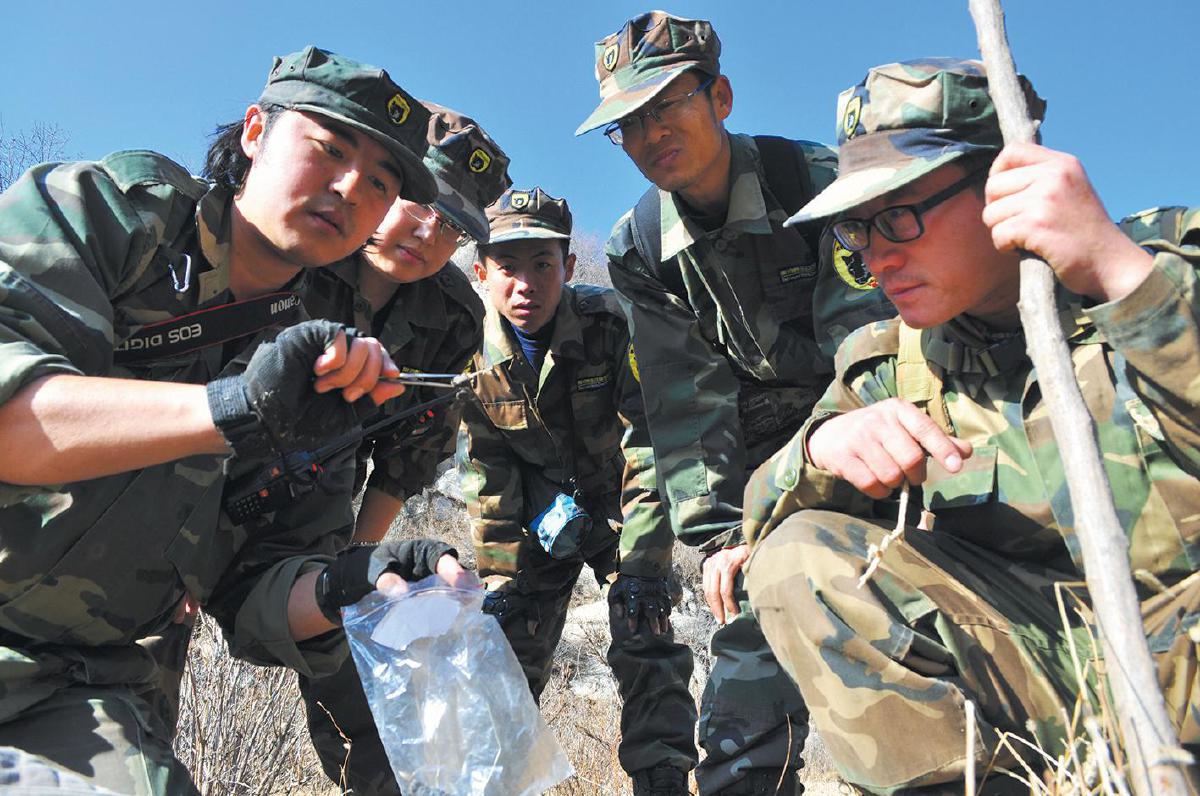 “闻着味就来了”野猪把红薯地拱个遍(图2)