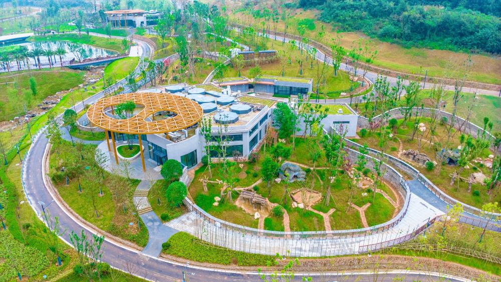 搬新“家”!我国再添一杏彩体育座大熊猫基地(图2)