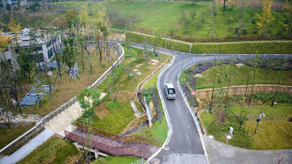 搬新“家”!我国再添一杏彩体育座大熊猫基地(图1)