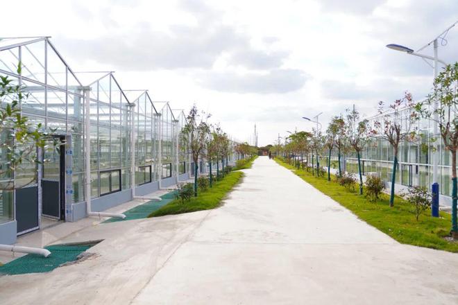 看奉城水产养殖业的现代化“变身记”→杏彩体育(图1)