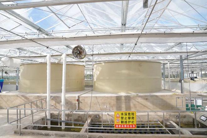 看奉城水产养殖业的现代化“变身记”→杏彩体育(图3)