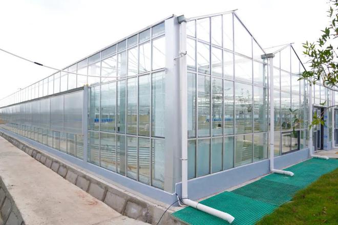 看奉城水产养殖业的现代化“变身记”→杏彩体育(图8)