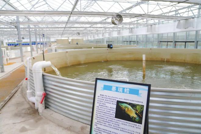 看奉城水产养殖业的现代化“变身记”→杏彩体育(图6)