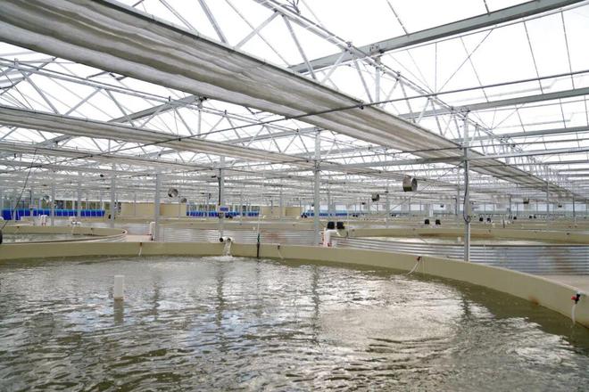 看奉城水产养殖业的现代化“变身记”→杏彩体育(图4)