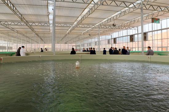 科技赋能书写渔业新篇(图1)