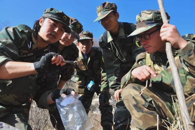 密云村民夜间偶遇野猪游泳渡河(图6)