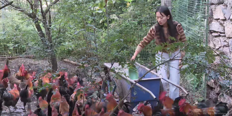 舟曲县:林区党建“点绿生金”(图1)