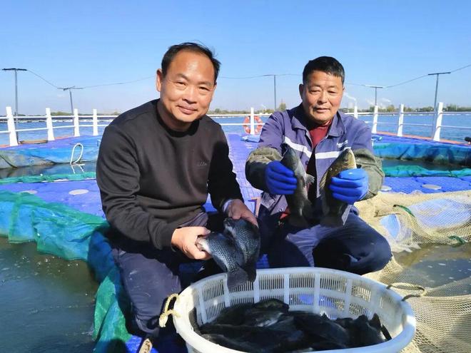 昔日沉陷区今朝鱼满仓(图3)