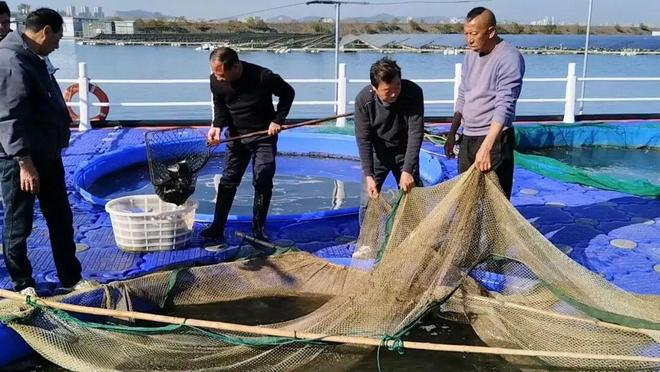 昔日沉陷区今朝鱼满仓(图2)