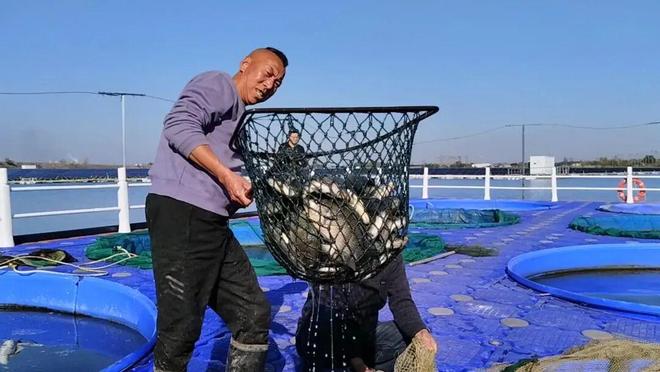 昔日沉陷区今朝鱼满仓(图1)