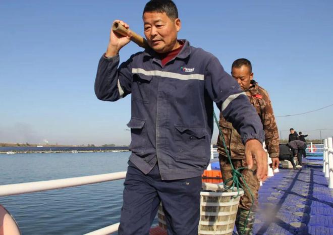 昔日沉陷区今朝鱼满仓(图4)