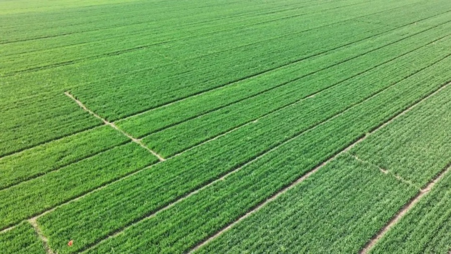 走在前挑大梁·非凡“十四五”丨“农”墨重彩绘华章——回眸“十四五”·喜看新变化之乡村振兴篇(图1)