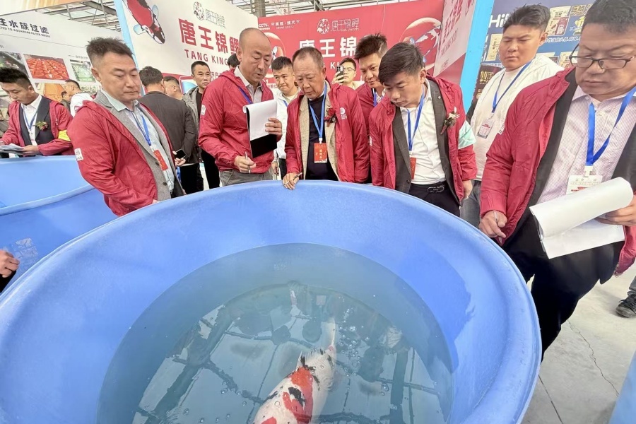 走在前挑大梁·非凡“十四五”丨“农”墨重彩绘华章——回眸“十四五”·喜看新变化之乡村振兴篇(图2)