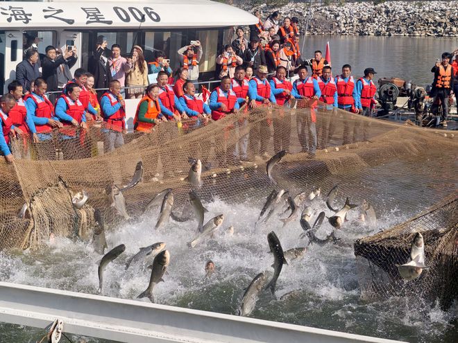 “第一网鱼”上岸!武宁庐山西海2025年秋冬捕捞欢腾开启(图1)