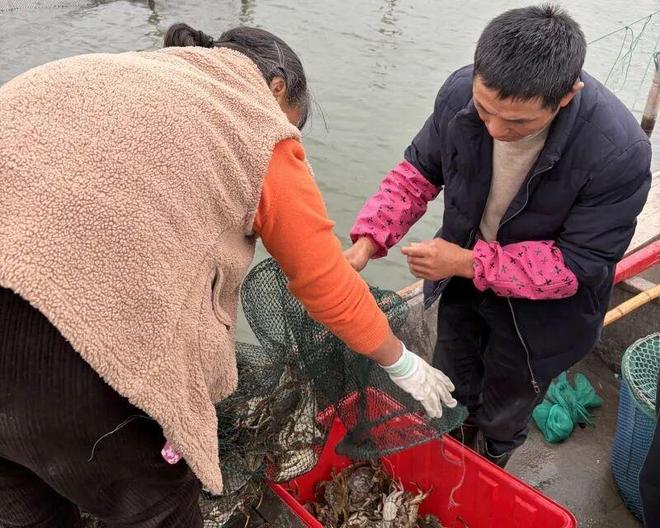 大部分蟹卡杏彩体育不是阳澄湖大闸蟹(图4)