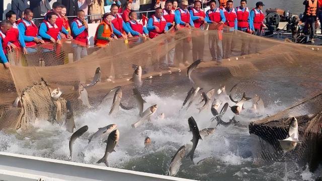 江西武宁:第二届庐山西海秋冬捕捞活动正式启幕(图1)