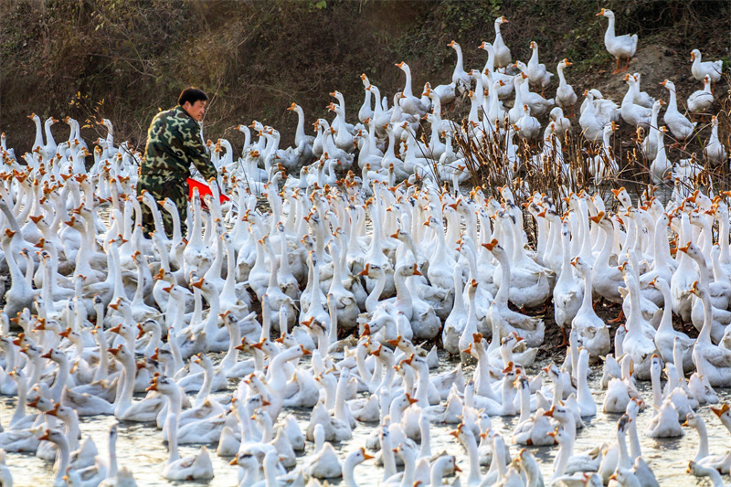 杏彩体育平台content=b(图3)