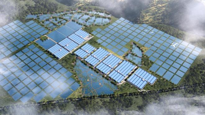 喜报！天马科技杏彩体育集团入选“2025福建省农业产业化龙头企业100强”(图5)