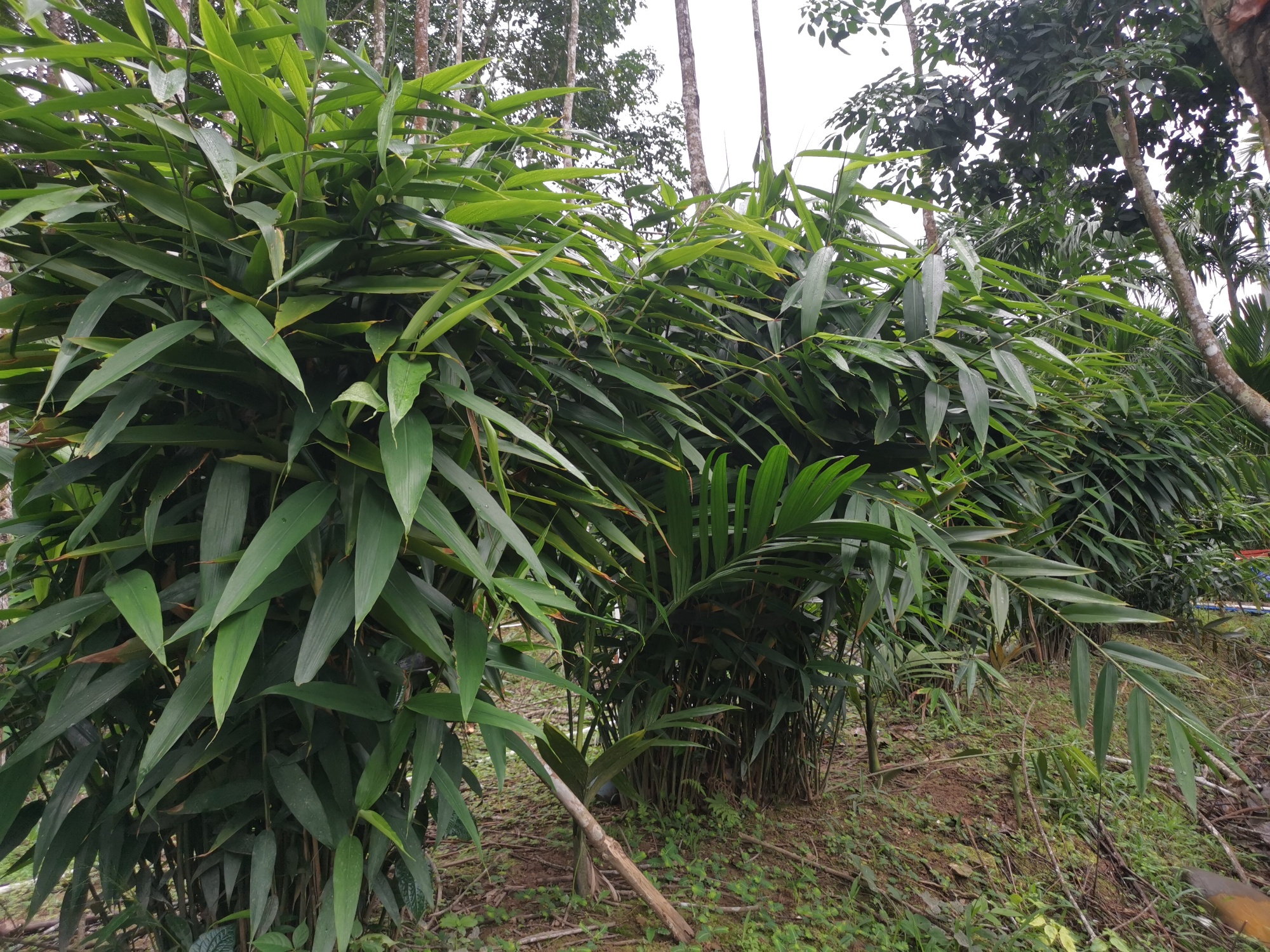 远山的回响丨黎乡焕彩：从闭塞山野到文旅胜地的跨越(图9)