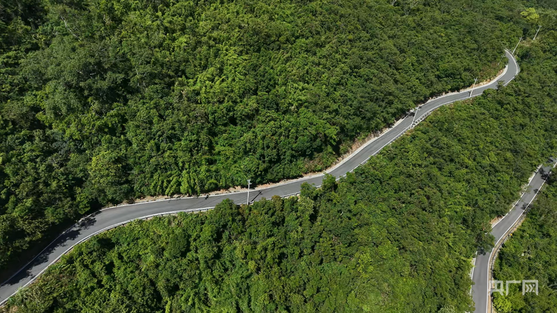 远山的回响丨黎乡焕彩：从闭塞山野到文旅胜地的跨越(图12)