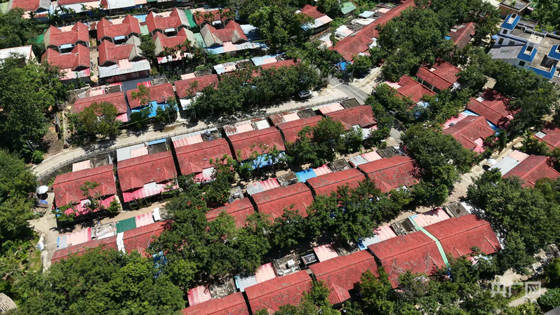 远山的回响丨黎乡焕彩：从闭塞山野到文旅胜地的跨越(图14)