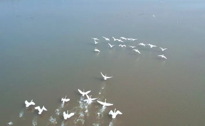 一江两岸正风华半是繁城半田园(图4)