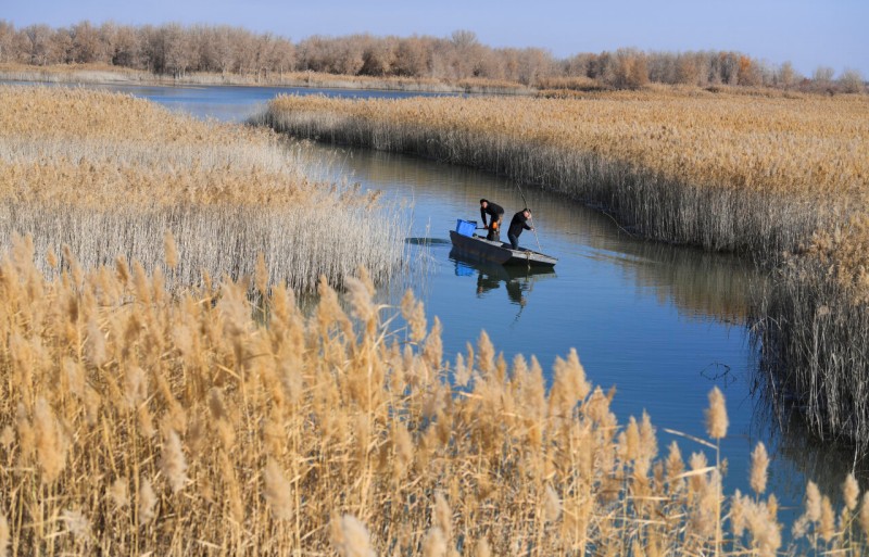 锁边合龙一周年丨从“死亡之海”到“财富绿洲”看塔克拉玛干如何点沙成金(图1)