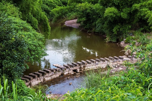 綦江区：政协委员将“办公桌”搬到基层一线(图2)