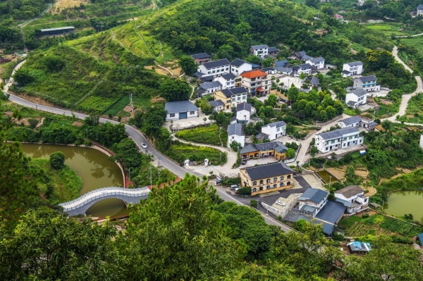 綦江区：政协委员将“办公桌”搬到基层一线(图1)