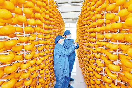 不同的增收路径一样的幸福笑脸(图1)