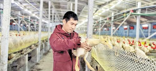 不同的增收路径一样的幸福笑脸(图2)